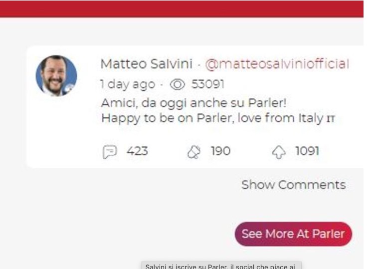 Salvini su Parler