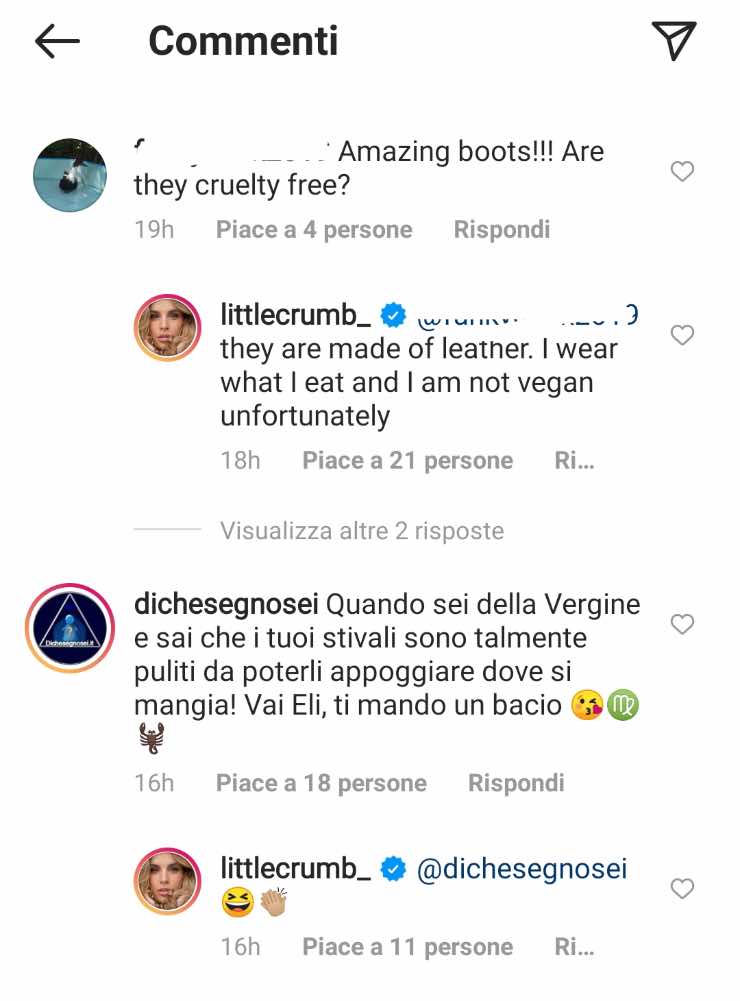 commenti Elisabetta Canalis