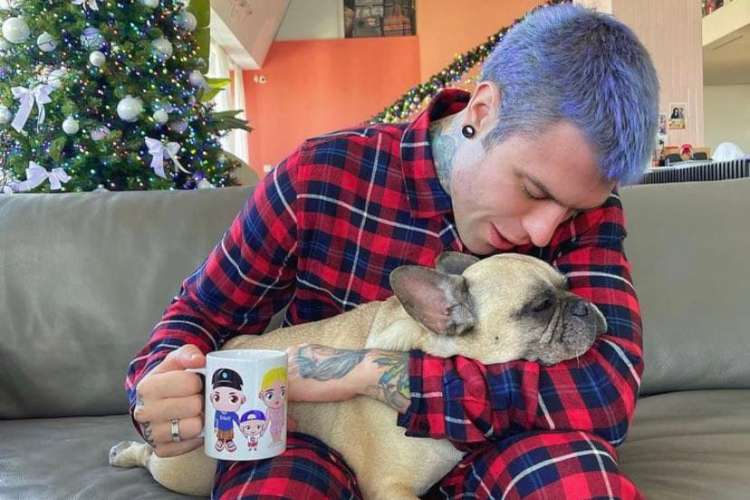 fedez collaborazione intimissimi finita twitch diretta