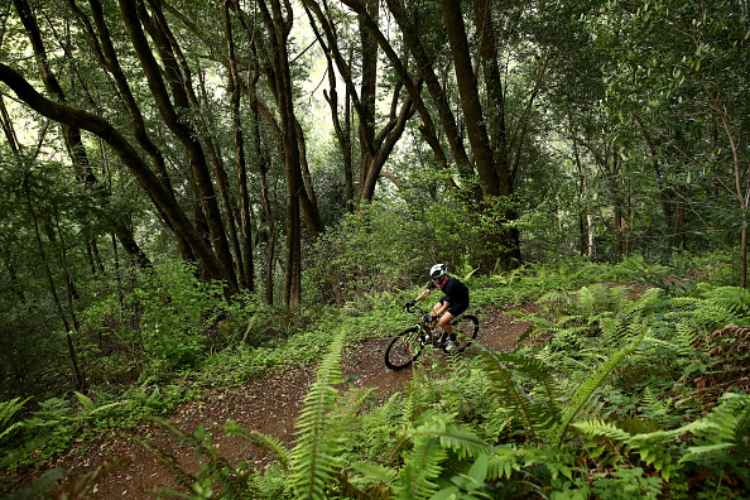 torino mountain bike incidente cumiana morto ciclista