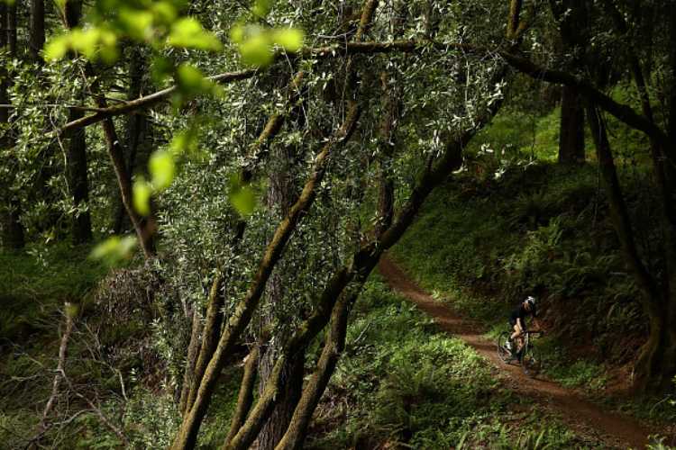 torino mountain bike incidente cumiana morto ciclista