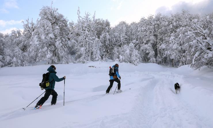 Valanga di neve nel Cuneese