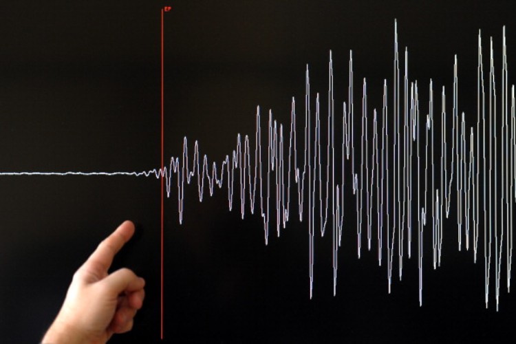 terremoto nuova zelanda pacifico allerta tsunami maremoto