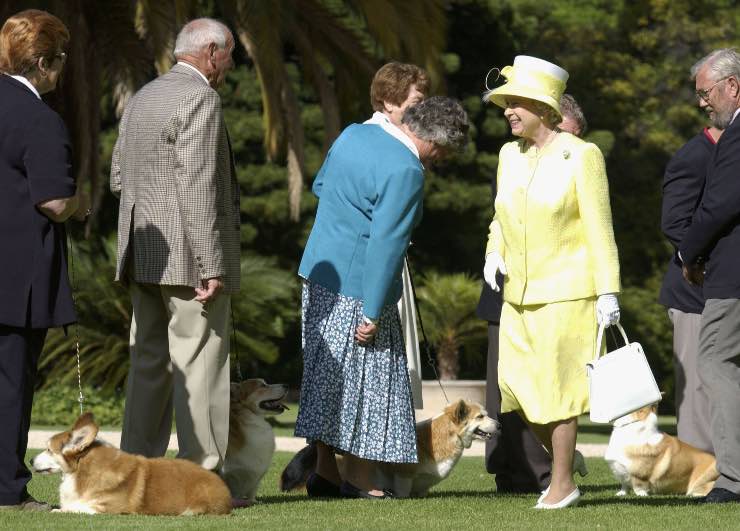 Regina Elisabetta con i corgi