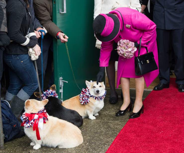 Regina Elisabetta con i corgi