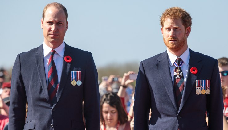 I Principi William e Harry