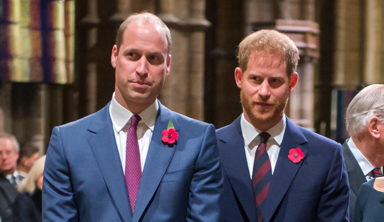 I Principi William e Harry