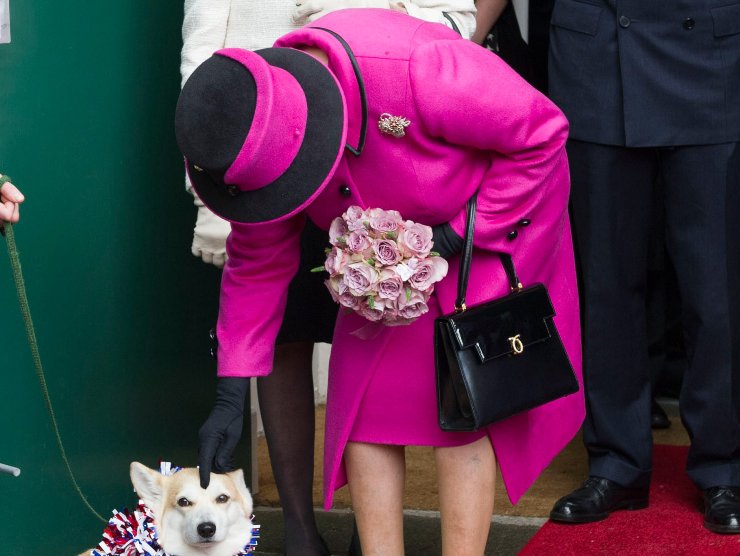 regina Elisabetta biscotti cani corgi