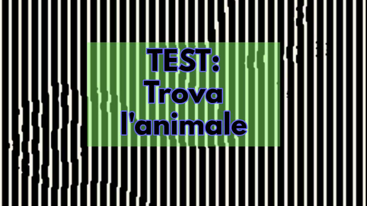 Test trova l'animaleT