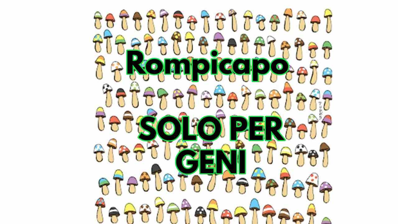 Rompicapo funghi