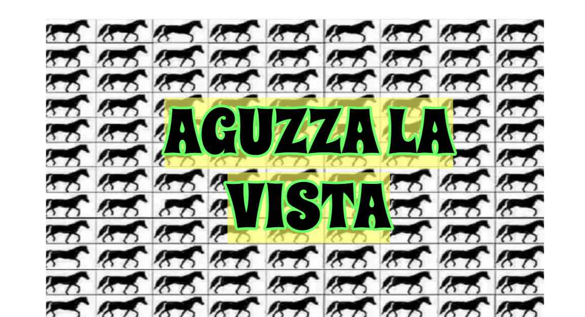 Test aguzza la vista cavalli